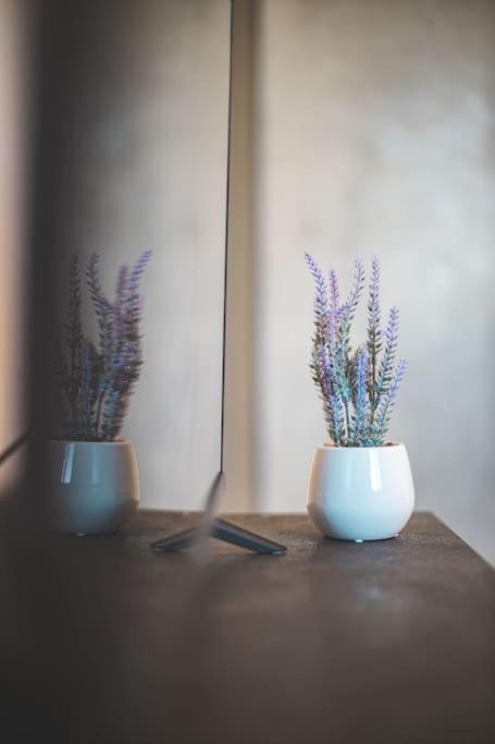 La Corte Apartment Monza - Milano + Free Wi-Fi Lissone Εξωτερικό φωτογραφία